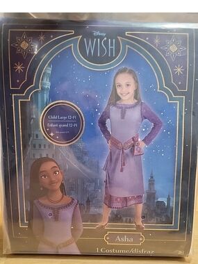 Disney Wish ASHA PlayTime Costume Adorable Anytime Play Large 12-14 #4017
